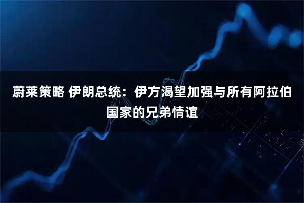 蔚莱策略 伊朗总统：伊方渴望加强与所有阿拉伯国家的兄弟情谊