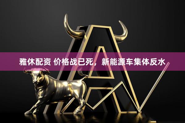 雅休配资 价格战已死，新能源车集体反水